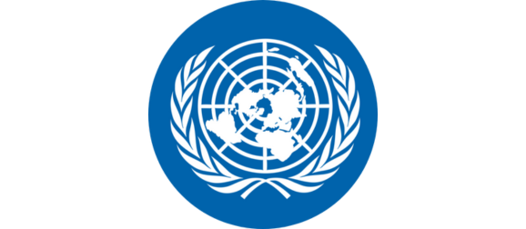 UNDP logo